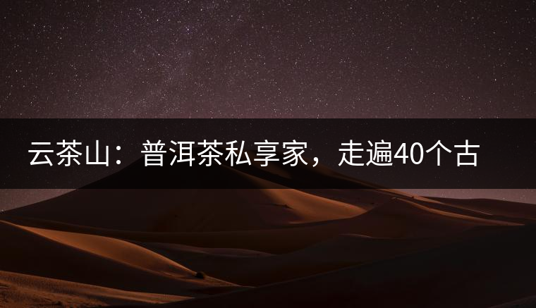 云茶山：普洱茶私享家，走遍40個古寨，24小時提供專家評分與產地茶農一手報價