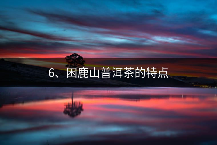 6、困鹿山普洱茶的特點(diǎn)