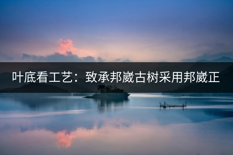 葉底看工藝：致承邦崴古樹采用邦崴正山三百至五百年古茶樹頭春鮮葉。經(jīng)手工殺青，石墨壓制，餅型周正，嚴守傳統(tǒng)工藝；葉底鮮活，幾乎無糊點，前期殺青較輕，這樣更利于后期轉(zhuǎn)化。