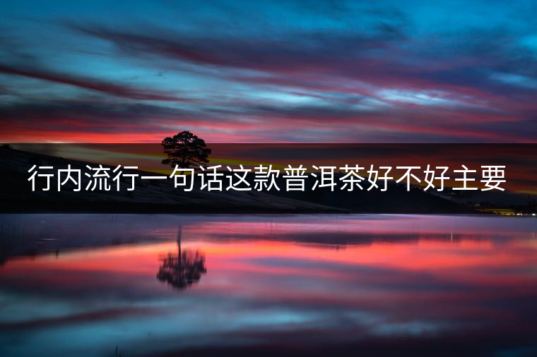 行內(nèi)流行一句話這款普洱茶好不好主要還看尾水，雖然比較片面但是也有一定道理。