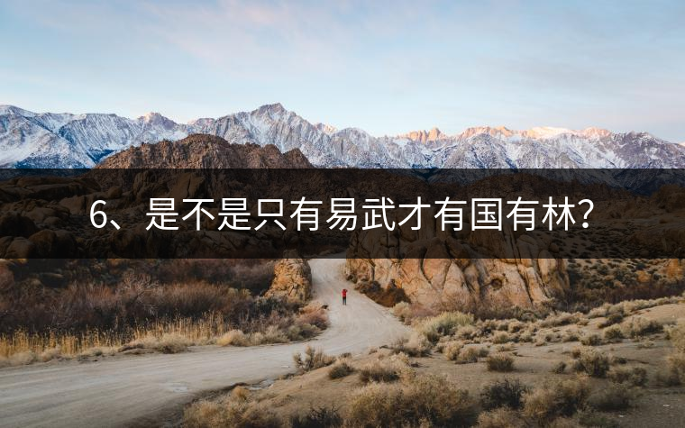 6、是不是只有易武才有國有林？