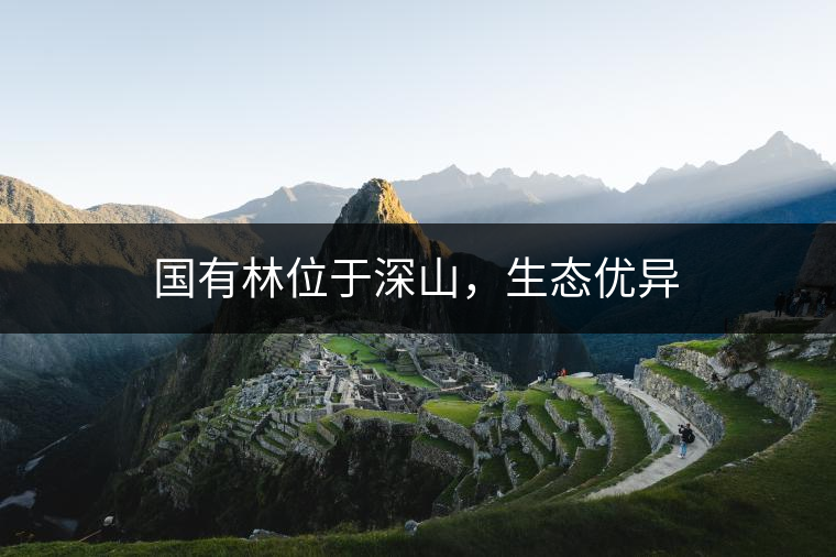 國(guó)有林位于深山，生態(tài)優(yōu)異