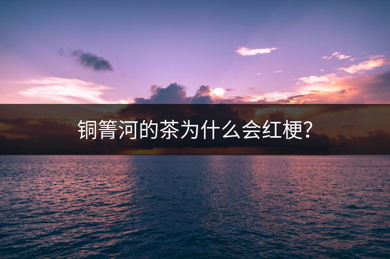 銅箐河的茶為什么會紅梗？