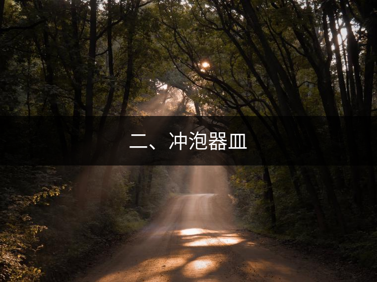 二、沖泡器皿