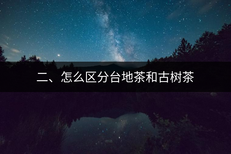二、怎么區(qū)分臺地茶和古樹茶
