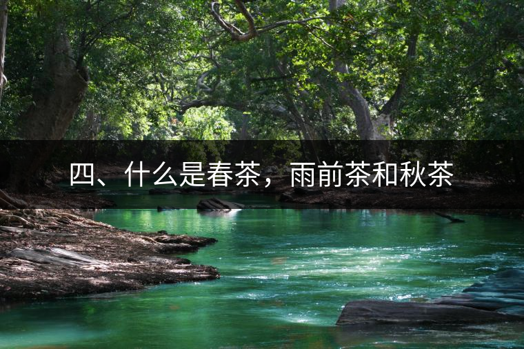 四、什么是春茶，雨前茶和秋茶