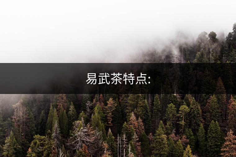 易武茶特點(diǎn):