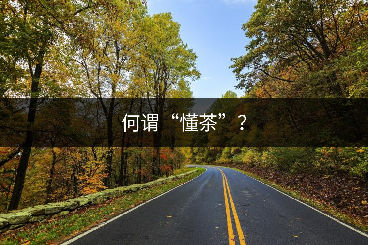 何謂“懂茶”？