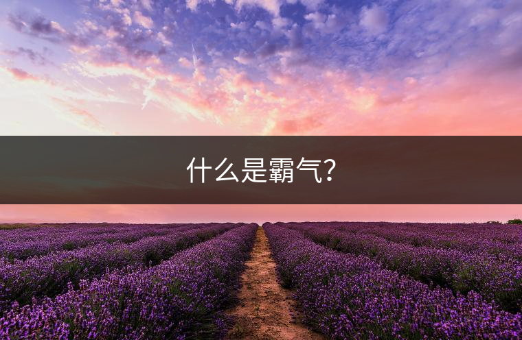 什么是霸氣？