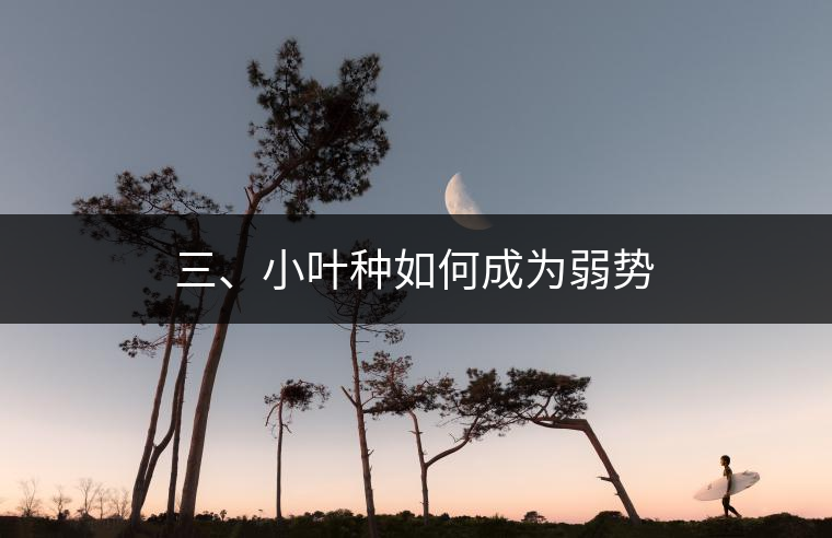 三、小葉種如何成為弱勢(shì)