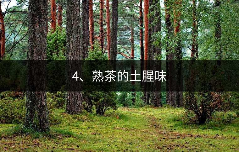4、熟茶的土腥味