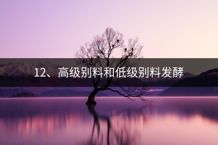 12、高級別料和低級別料發(fā)酵