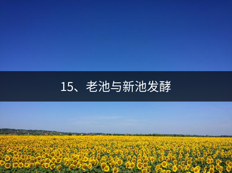 15、老池與新池發(fā)酵