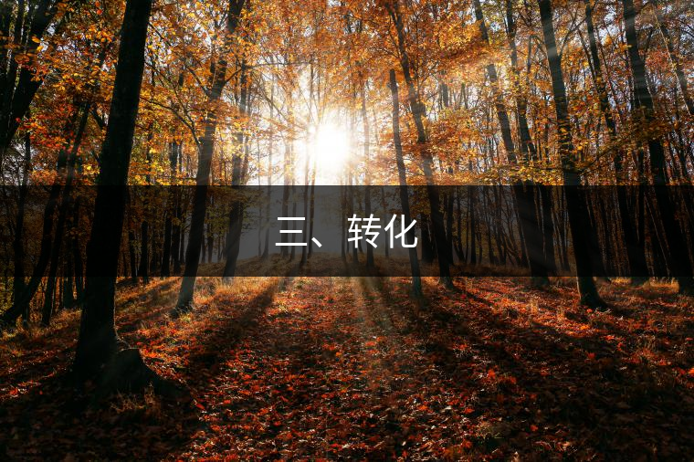 三、轉(zhuǎn)化