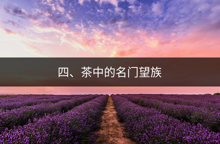 四、茶中的名門望族