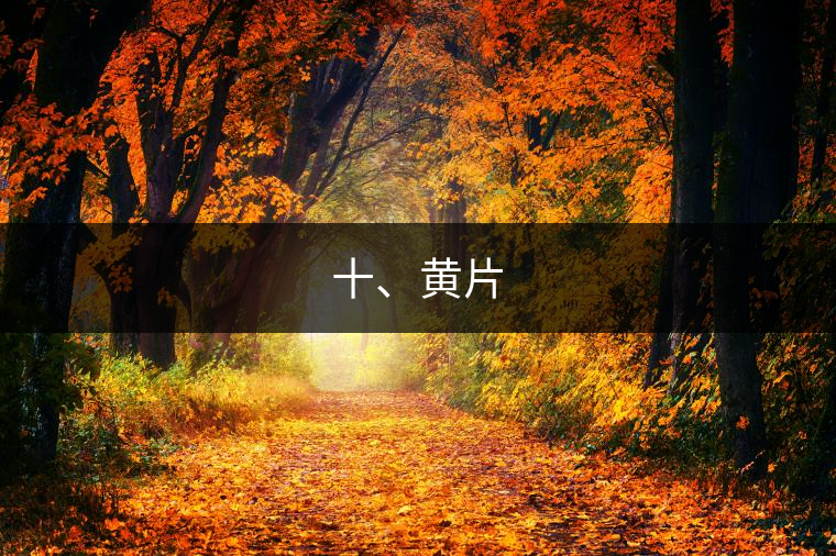 十、黃片