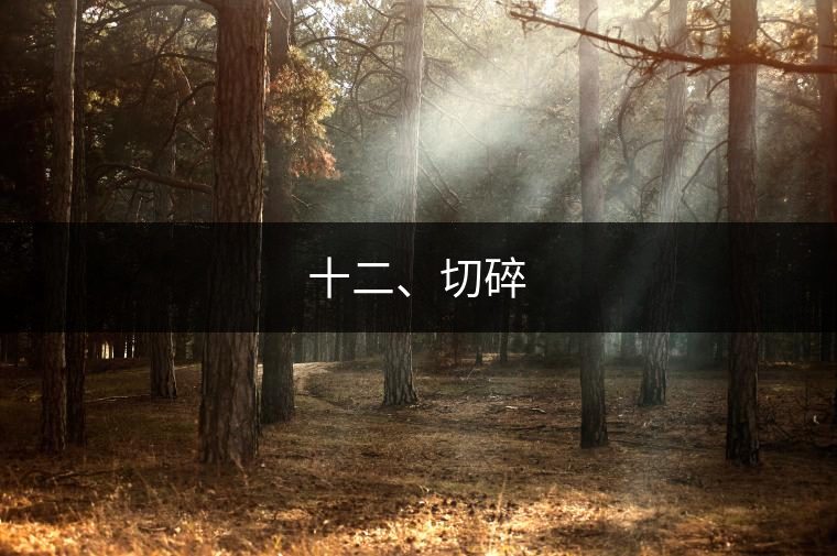 十二、切碎