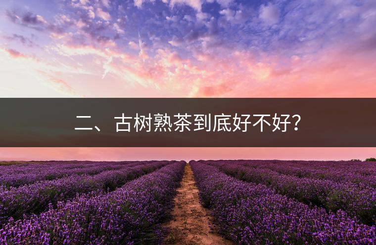 二、古樹熟茶到底好不好？