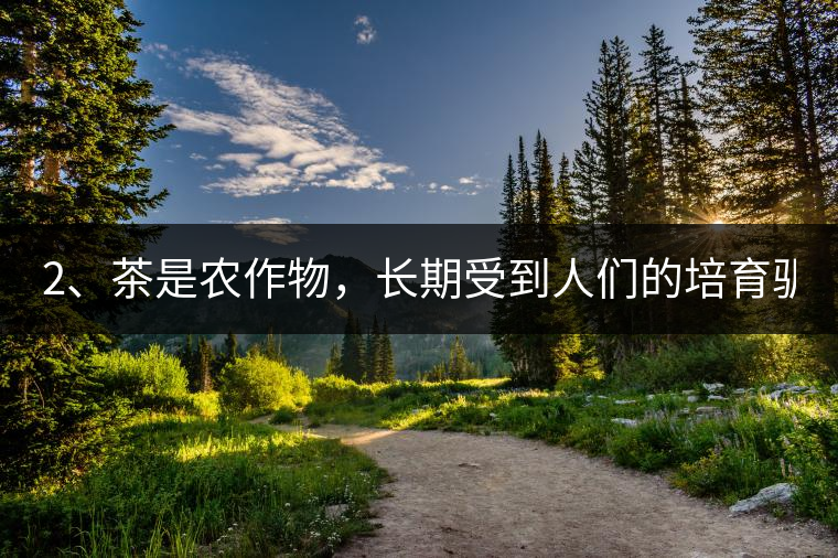 2、茶是農(nóng)作物，長(zhǎng)期受到人們的培育馴化。