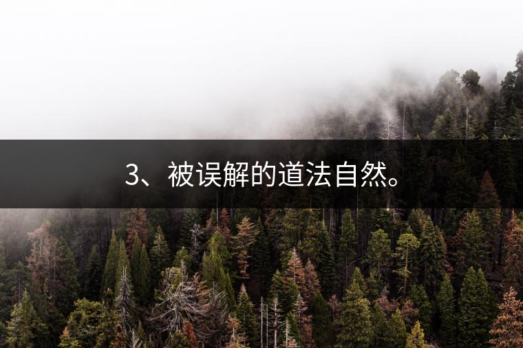 3、被誤解的道法自然。