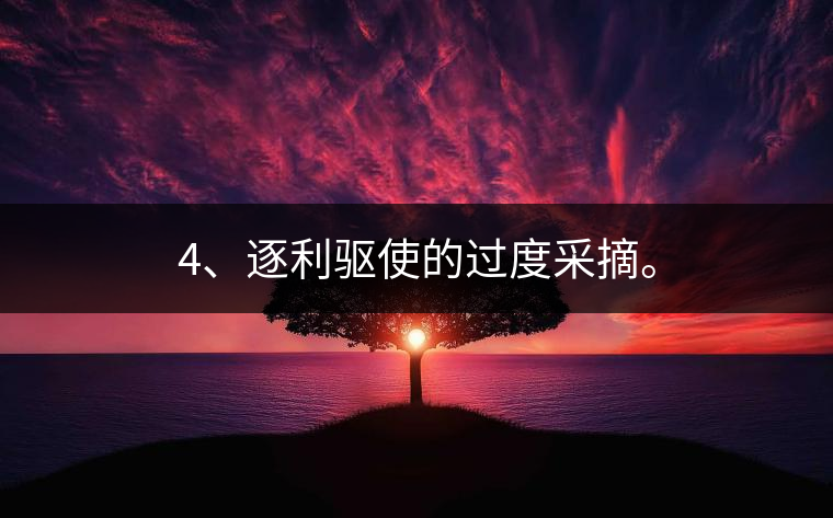 4、逐利驅(qū)使的過(guò)度采摘。