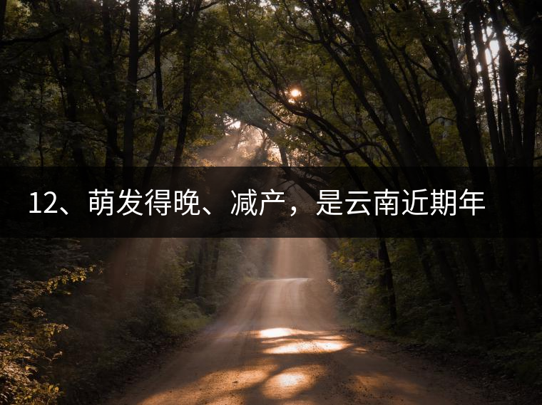 12、萌發(fā)得晚、減產(chǎn)，是云南近期年氣候變化在茶樹上的延遲反映。