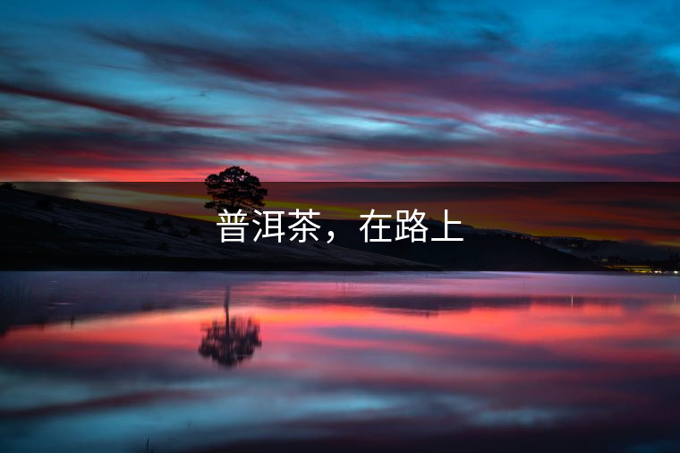 普洱茶，在路上