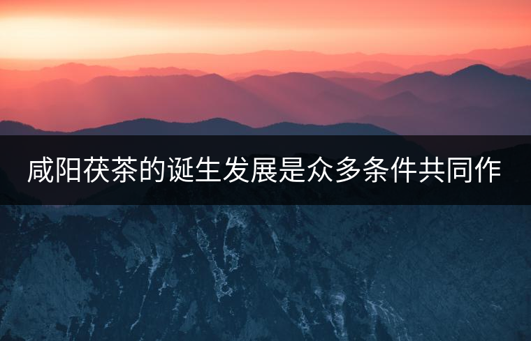 咸陽(yáng)茯茶的誕生發(fā)展是眾多條件共同作用的結(jié)果。