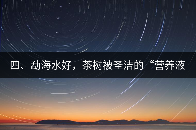 四、勐海水好，茶樹(shù)被圣潔的“營(yíng)養(yǎng)液”所滋養(yǎng)