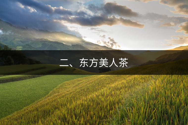 二、東方美人茶