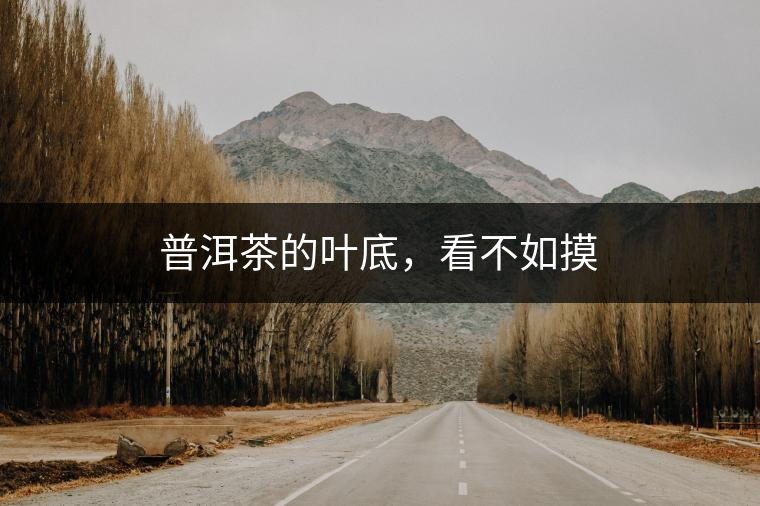 普洱茶的葉底，看不如摸