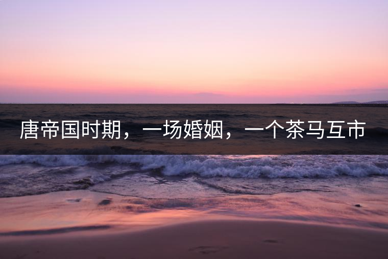 唐帝國時期，一場婚姻，一個茶馬互市，讓這里結(jié)束了漢藏對峙。宋代南茶北，西北茶馬司設立，因茶而改變的生活日益凸顯。元代八思巴與忽必烈在這一區(qū)域結(jié)盟，為蒙藏兩大民族交往鋪好通衢大道，明代俺答汗與達賴在山海之間追思各自先人，青海人宗喀巴創(chuàng)建的黃教通過蒙、藏兩大領(lǐng)袖的推廣，締造了影響至今的格局。大清經(jīng)過康、雍、乾三代勵精圖治，滿、藏、蒙各自龐大的疆域第一次完整地統(tǒng)轄在中央帝國的版圖下。