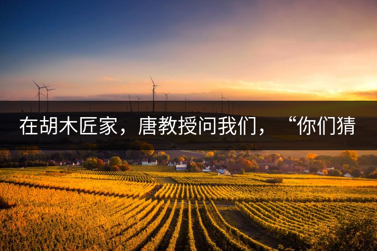 在胡木匠家，唐教授問我們，“你們猜猜他們家的茶放在哪里？”我們回答廚房、客廳都不對，“難道像寺院一樣，有專門的茶房不成？”教授和木匠都哈哈大笑，連連搖頭。在木匠的帶領(lǐng)下，我們來到主人的臥室，茶磚整齊有序地堆放在床頭柜里。一家之主的臥室，既是休息之所，亦是一家財富與傳家寶的收藏地。茶之精貴，毋需多言。