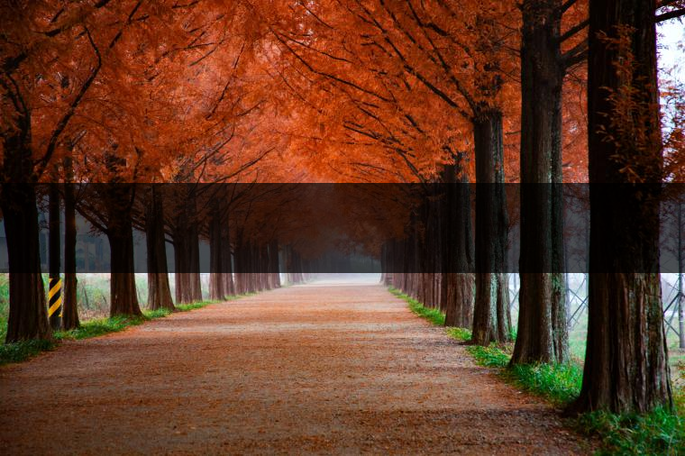 這樣的茶葉邊疆文化，也許是明代大學者解縉最樂意見到的。他曾說，中原最好的東西就是茶，而番人最好的就是馬。他贊同明廷茶馬互市的國策：茶之于夷人，如同中國之酒醴，因為茶馬貿(mào)易，許多夷人也開始學習中國的知識，對中國也有了向慕之心，那么茶的作用就很顯然，茶有著“夷夏之交，義利之辨，寅賓尚忠信而篤敬，河州固唐虞三代之邦也。”
茶不僅僅是一種飲品，還有其他。茶作為媒介，體現(xiàn)了觀念的變化。如今，隨著茶的傳播，各族人民有了更深入往來，通過貿(mào)易、文化、旅游等等。
陳渠珍從西藏抵達湟源區(qū)域時，也為這里的古風所震驚：“余皆漢番雜處。風俗婦女尚餞足，裙下蓮步不及三寸，服飾既古，文化尤卑，鄰居為私塾，當見一生久讀不能成誦，塾師罰之跪，以草圈罩頭上，頻加籌石，令其跪誦。余見駭然?！?
?
（摘自《海峽茶道》，2013年5期）