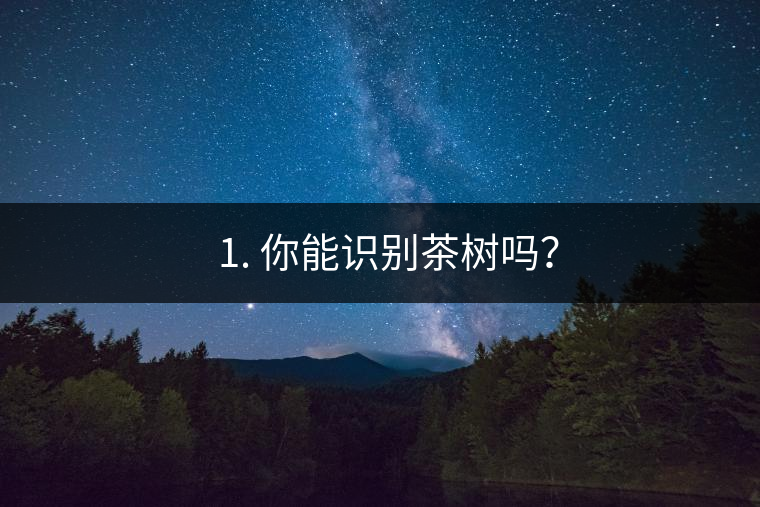 ??1. 你能識(shí)別茶樹嗎？