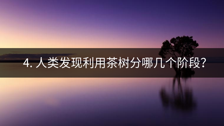 ? 4. 人類發(fā)現(xiàn)利用茶樹分哪幾個(gè)階段？