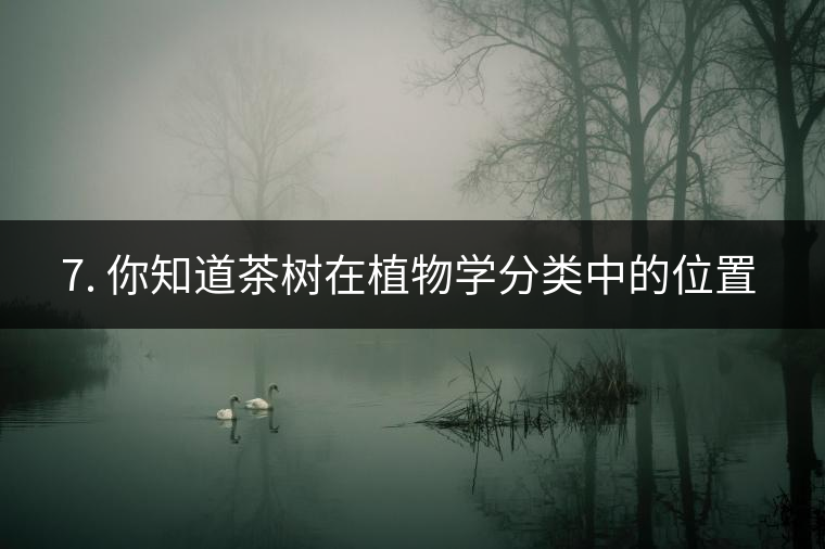 ??7. 你知道茶樹在植物學(xué)分類中的位置嗎？