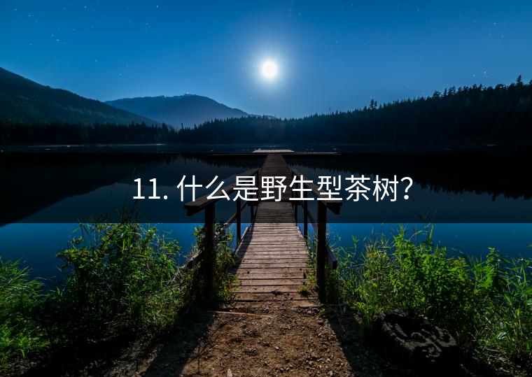 ? 11. 什么是野生型茶樹？