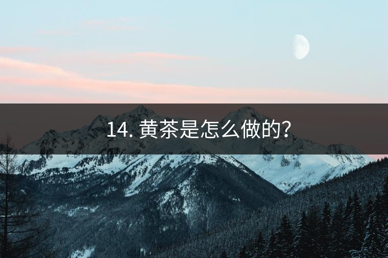 ? 14. 黃茶是怎么做的？