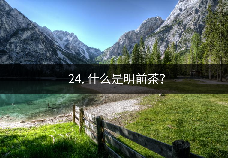 ? 24. 什么是明前茶？