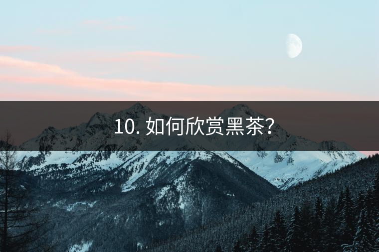? 10. 如何欣賞黑茶？