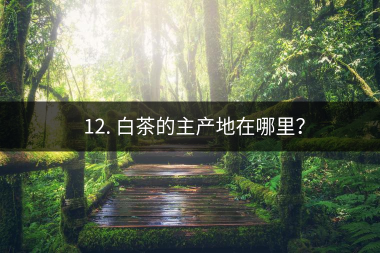 ? 12. 白茶的主產(chǎn)地在哪里？