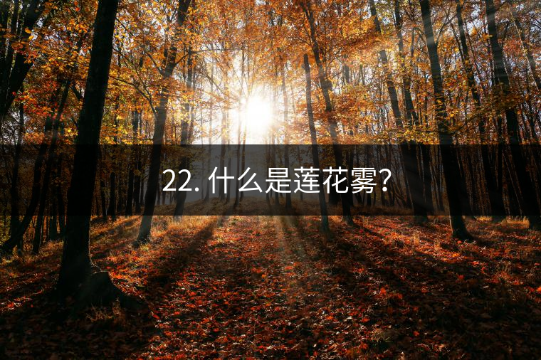 ? 22. 什么是蓮花霧？