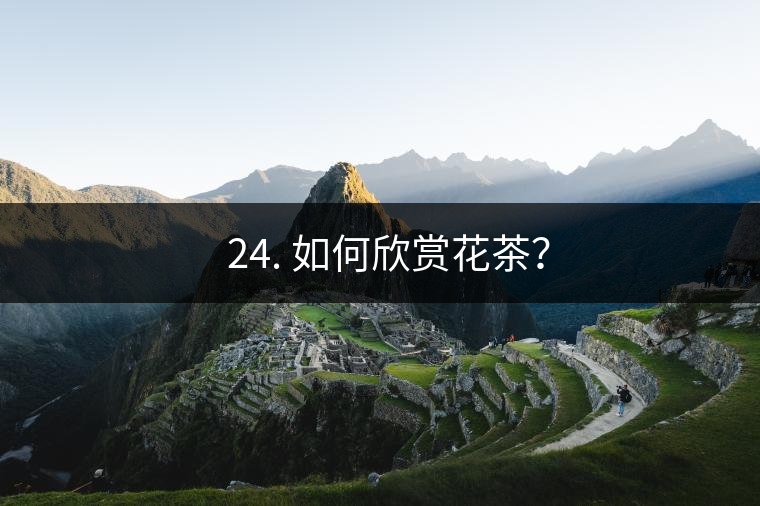? 24. 如何欣賞花茶？
