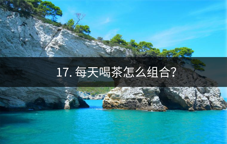 ? 17. 每天喝茶怎么組合？
