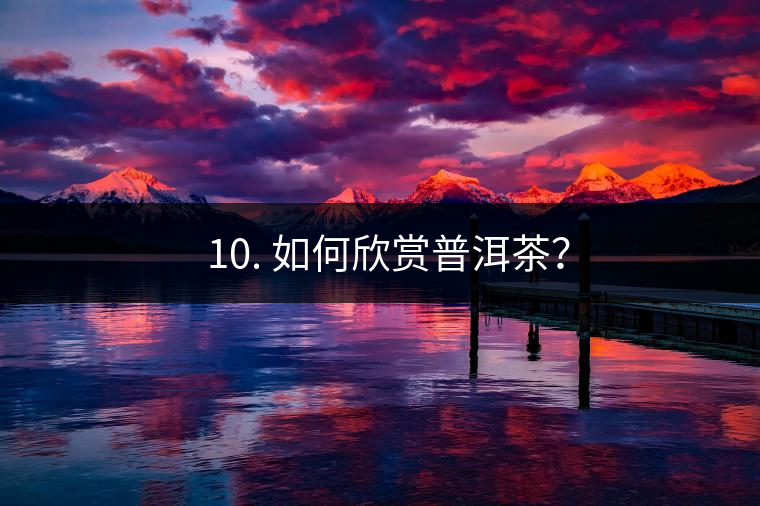? 10. 如何欣賞普洱茶？