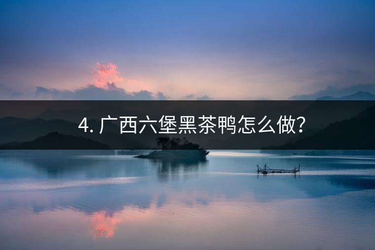 ? 4. 廣西六堡黑茶鴨怎么做？