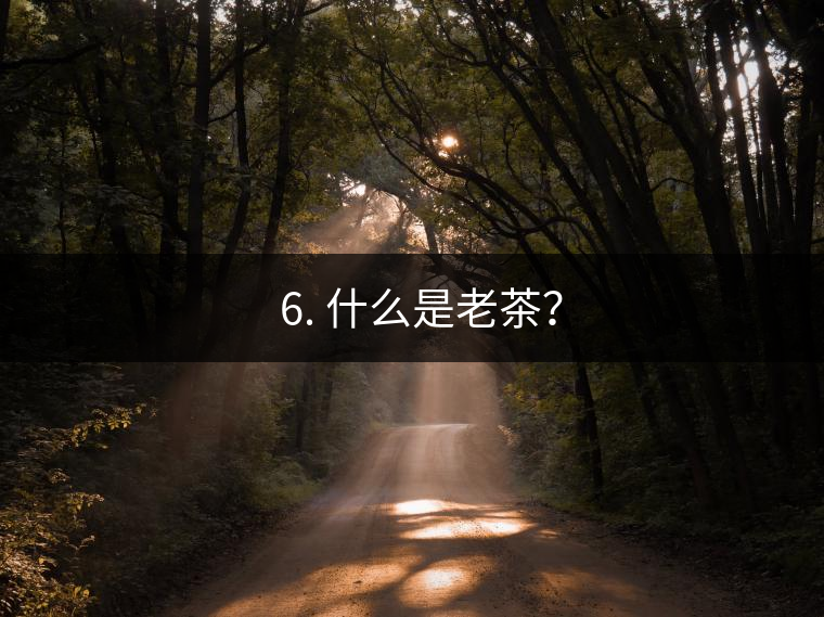 ? 6. 什么是老茶？