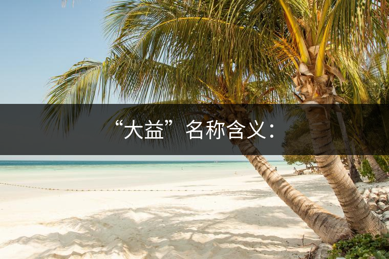 “大益”名稱(chēng)含義: “大益”名稱(chēng)含義: