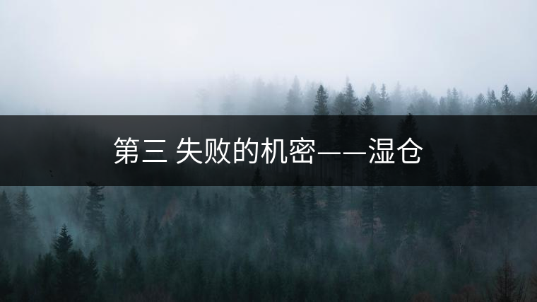 第三 失敗的機(jī)密——濕倉(cāng)